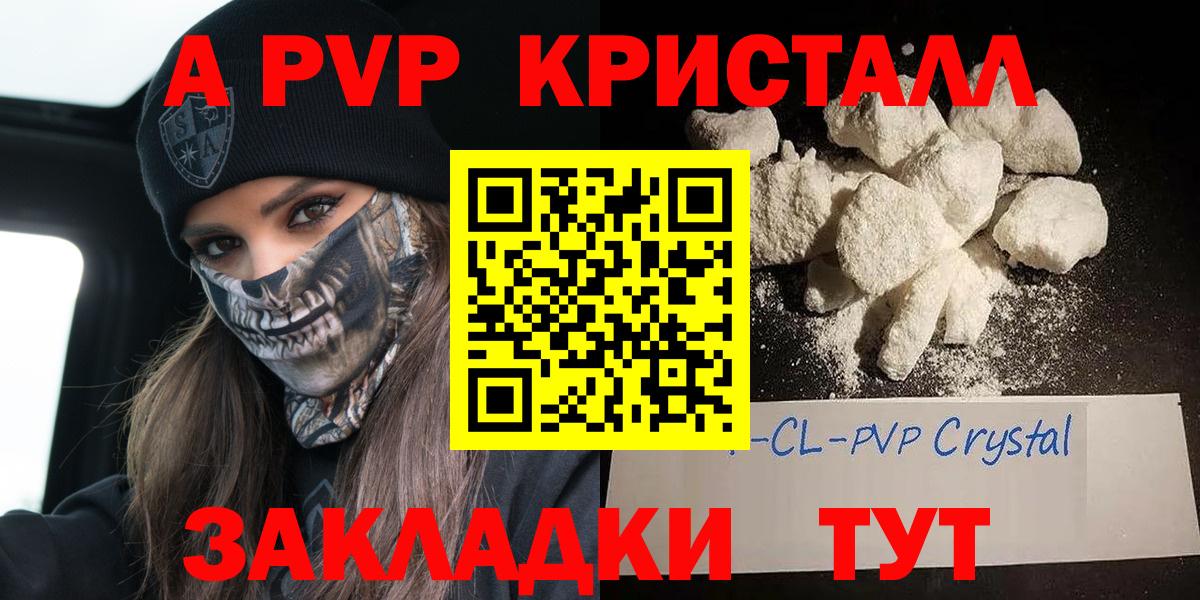 A PVP СК КРИС Пугачёв